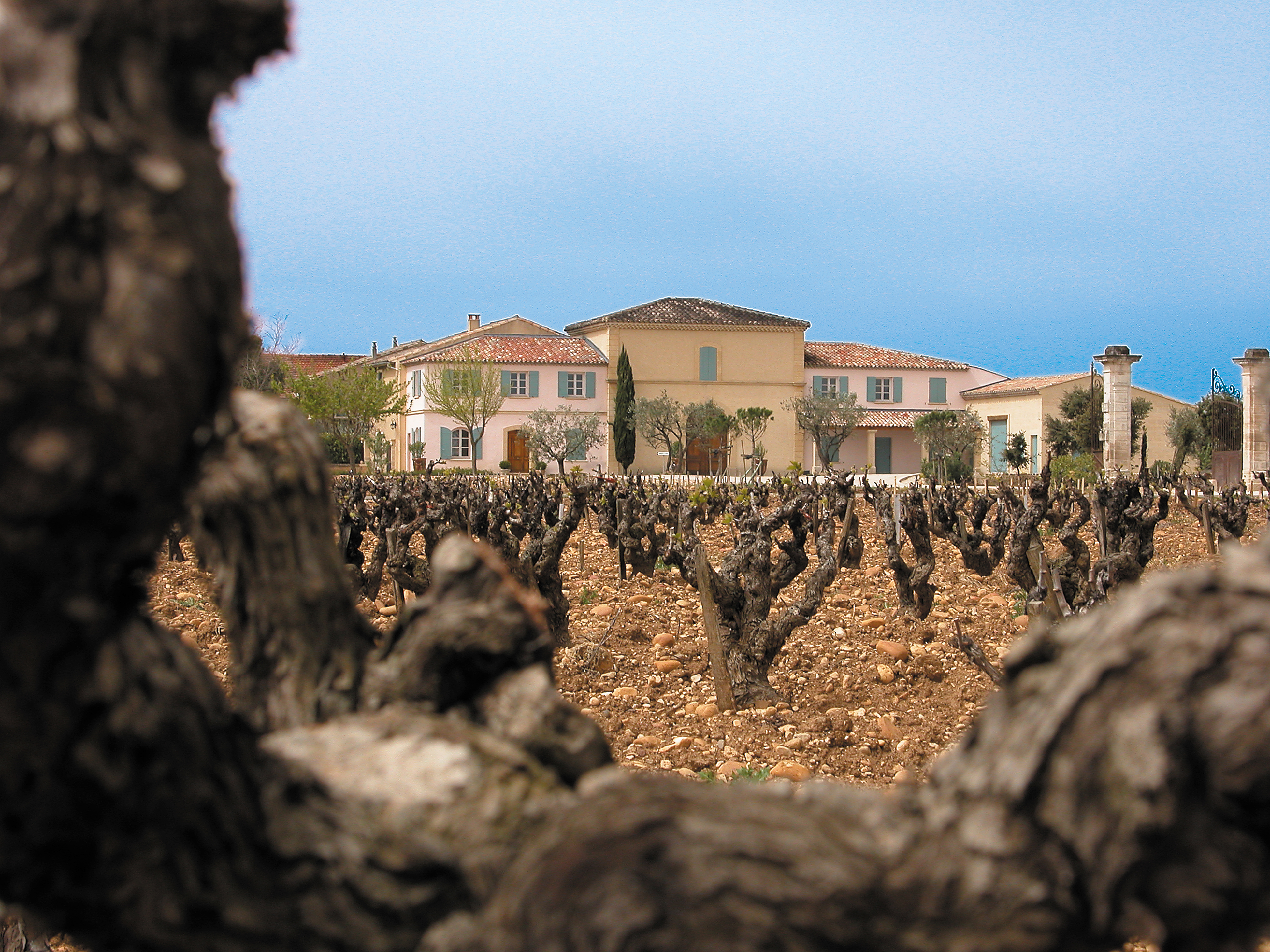 BeaucastelVines&House