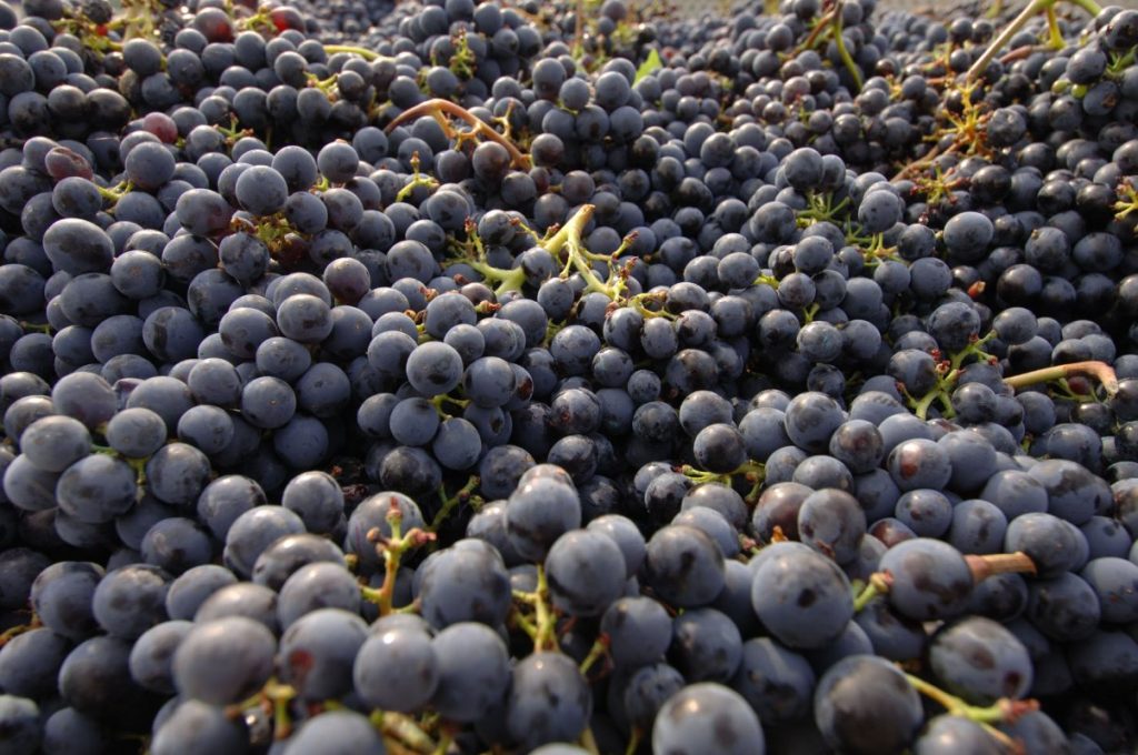 Greater Hartford International Pinot Noir Festival Final List of